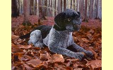 Hund Deutsch-Drahthaar schwarz liegend Pl�schtier K�sen 5530