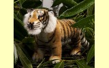 Tiger klein Kadan 33cm K�sen 5930