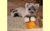 Katze Birmakatze klein liegend wei� K�sen 6100