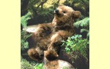 B�r Molli Pl�schtier Mohair K�sen 4853