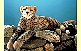 Gepard Juba Pl�schtier K�sen 5490