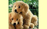 Golden Retriever Welpe sitzend Pl�schtier K�sen 5200