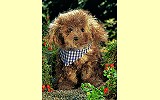 Hund Streuner Pl�schtier Mohair K�sen 5360