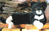 Katze klein schwarz liegend Fini Pl�schtier K�sen 5470