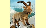 Steinbock Louis Pl�schtier K�sen 5160