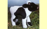 K�lbchen stehend schwarz/weiss Pl�schtier K�sen 5763