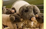 Schwein gefleckt Marta Pl�schtier K�sen 5630
