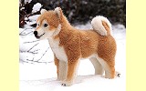 Shiba Inu stehend Koro Pl�schtier K�sen 5750