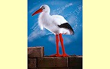 Storch Adebar Pl�schtier K�sen 5880
