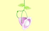 Deckenlampe Rosie Haba 7564