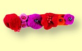 Haarspange Bolero Haba 6721