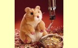 Handpuppe Hamster Folkmanis 2204