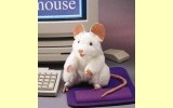 Handpuppe Wei�e Maus Folkmanis 2219