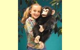 Handpuppe Schimpanse Folkmanis 2173