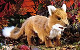 Handpuppe Fuchs Folkmanis 2049
