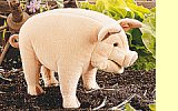 Handpuppe Schwein Folkmanis 2260