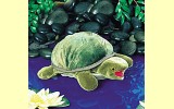 Handpuppe Kleine Schildkr�te Folkmanis 2521