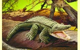 Handpuppe Alligator Folkmanis 2130