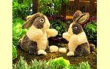 Handpuppe Holl�nder Hase Folkmanis 2568