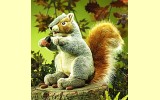 Handpuppe Eichh�rnchen grau Folkmanis 2553