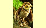 Handpuppe Kanincheneule Folkmanis 2578