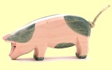Schwein gefleckt Kopf tief Ostheimer