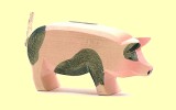 Schwein gefleckt Kopf hoch Ostheimer