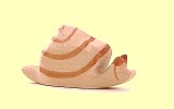 Schnecke Ostheimer