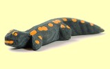 Salamander Ostheimer