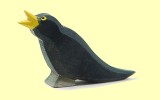 Amsel Ostheimer