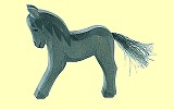 Fohlen schwarz Ostheimer