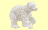 Eisb�renjunges Papo