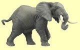 Elefant Papo