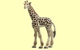 Giraffe klein Papo