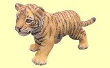 Tigerjunges Papo