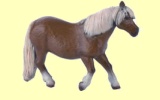 Shetlandpony Papo
