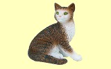 Katze sitzend Papo