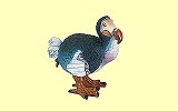 Dodo Papo