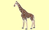 Giraffe Papo