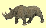 Nashorn schwarz Papo