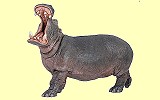 Nilpferd Papo