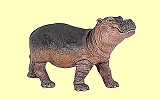 Nilpferdjunges Papo
