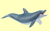 Delphin spielend Papo