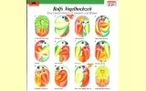 R. Zuckowski: Vogelhochzeit CD 
